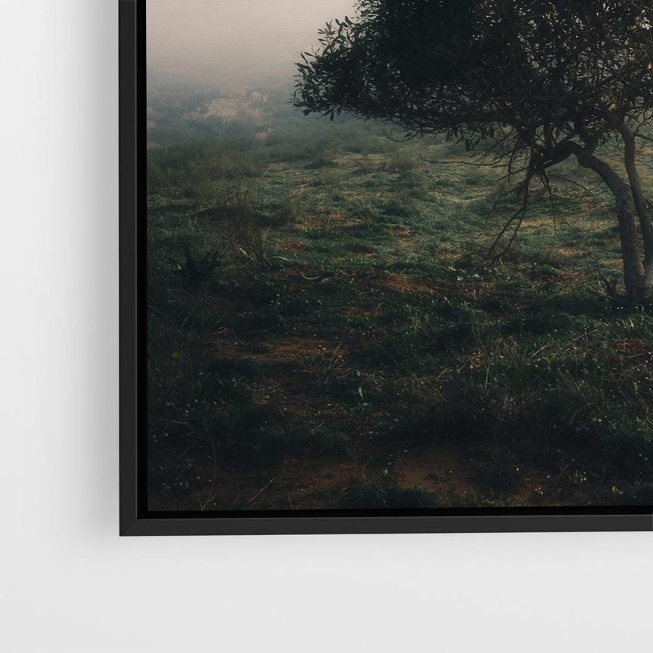 Obraz w ramie 50x50 - Zamglona Prostota - artystyczna fotografia, samotne drzewo na zamglonej łące - rama czarna