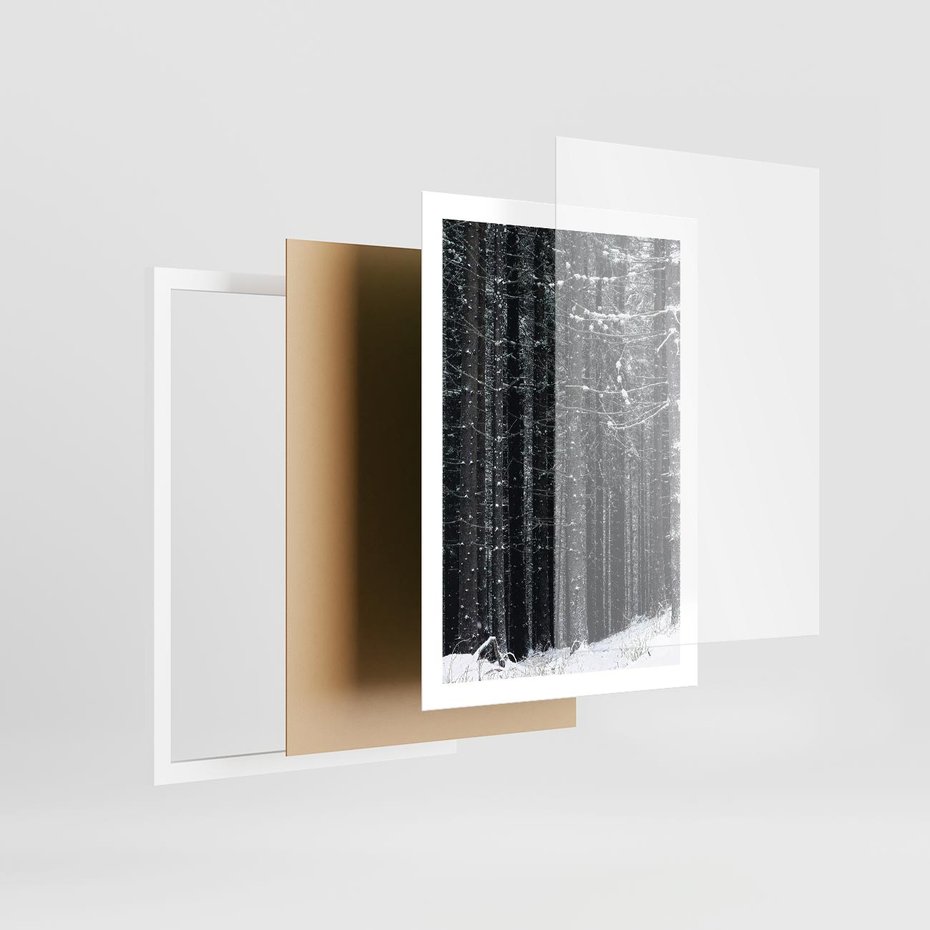 Plakat w ramie 50x70 - Leśna Cisza: Malowniczy Pejzaż Zimą - las zimą, ośnieżone pnie drzew - rama biała