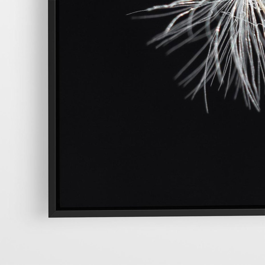 Obraz w ramie 70x50 - Delikatność Wiatru - dmuchawce, makro - rama czarna