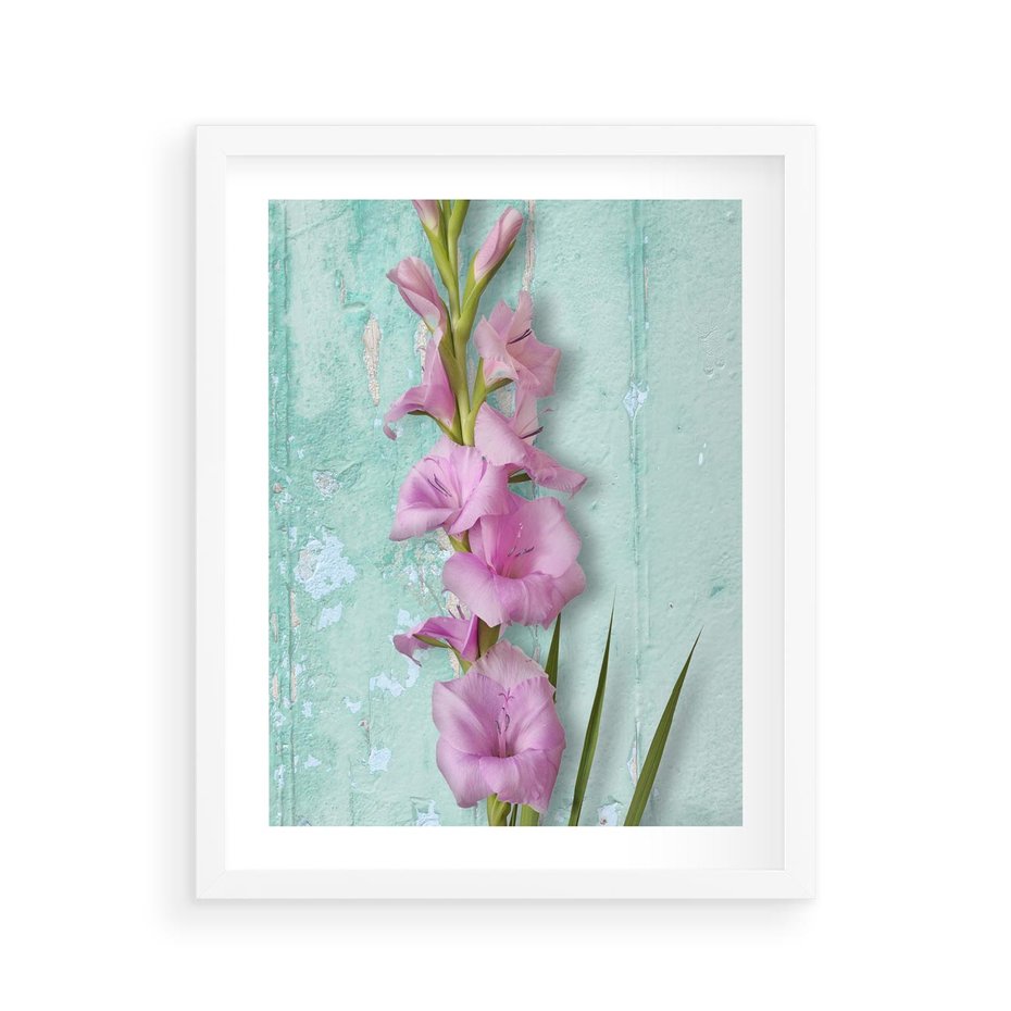 Plakat w ramie 40x50 - Piękno w delikatności - kwiaty, różowe - rama biała