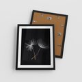 Plakat w ramie 40x50 - Delikatność Wiatru - dmuchawce, makro - rama czarna