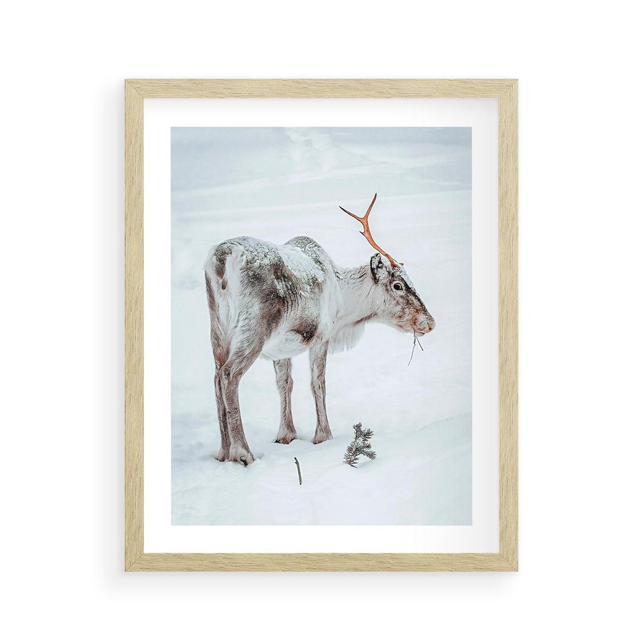 Plakat w ramie 40x50 - Magia Świąt - renifer na śniegu, śnieg - rama drewno
