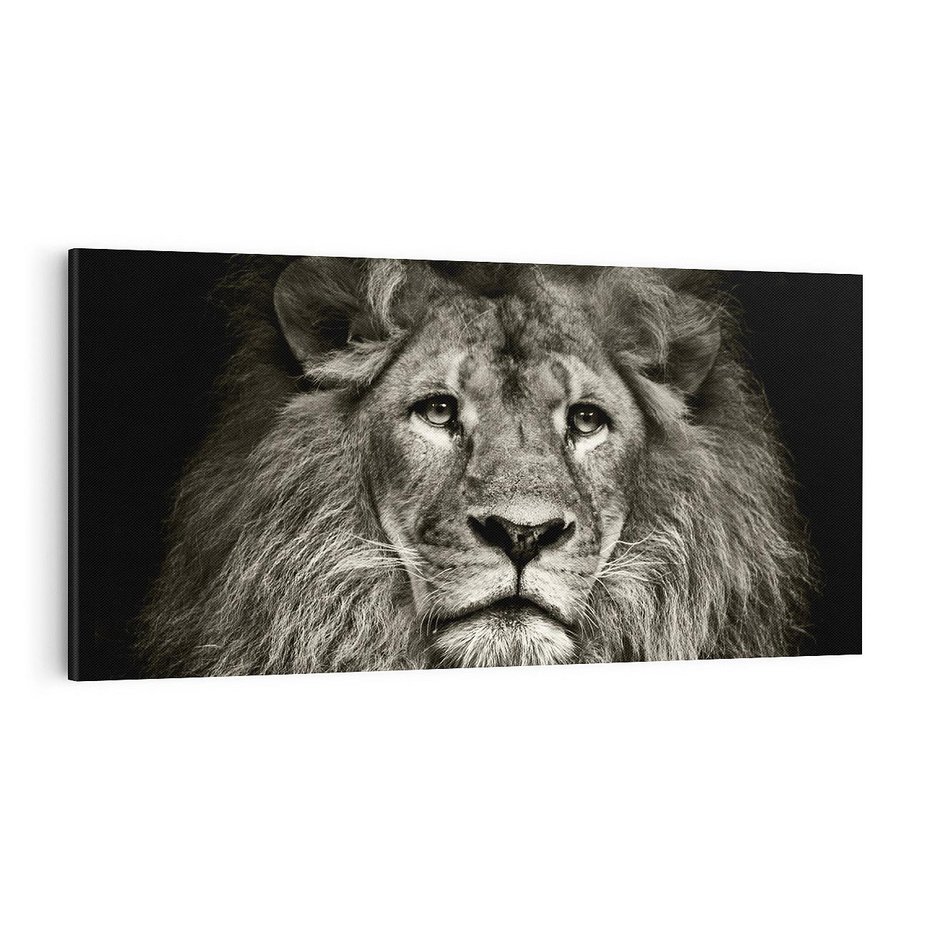 Obraz na płótnie 100x50 - Moc lewego spojrzenia - lew, czarno