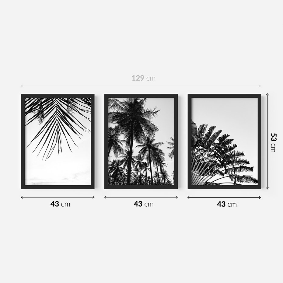 Zestaw obrazy w ramie 40x50 galeria - Palmy, czarno, biały, minimalizm - rama czarna