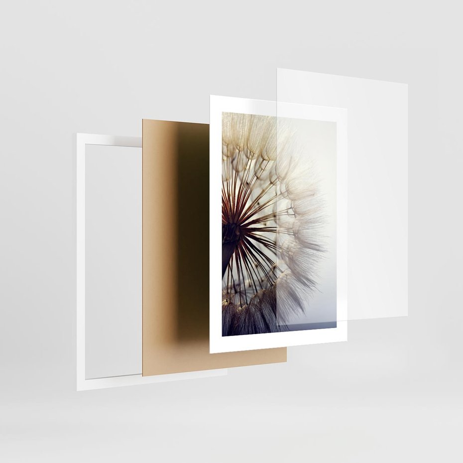 Plakat w ramie 30x40 - Makro piękno dmuchawca - makro, dmuchawiec - rama biała