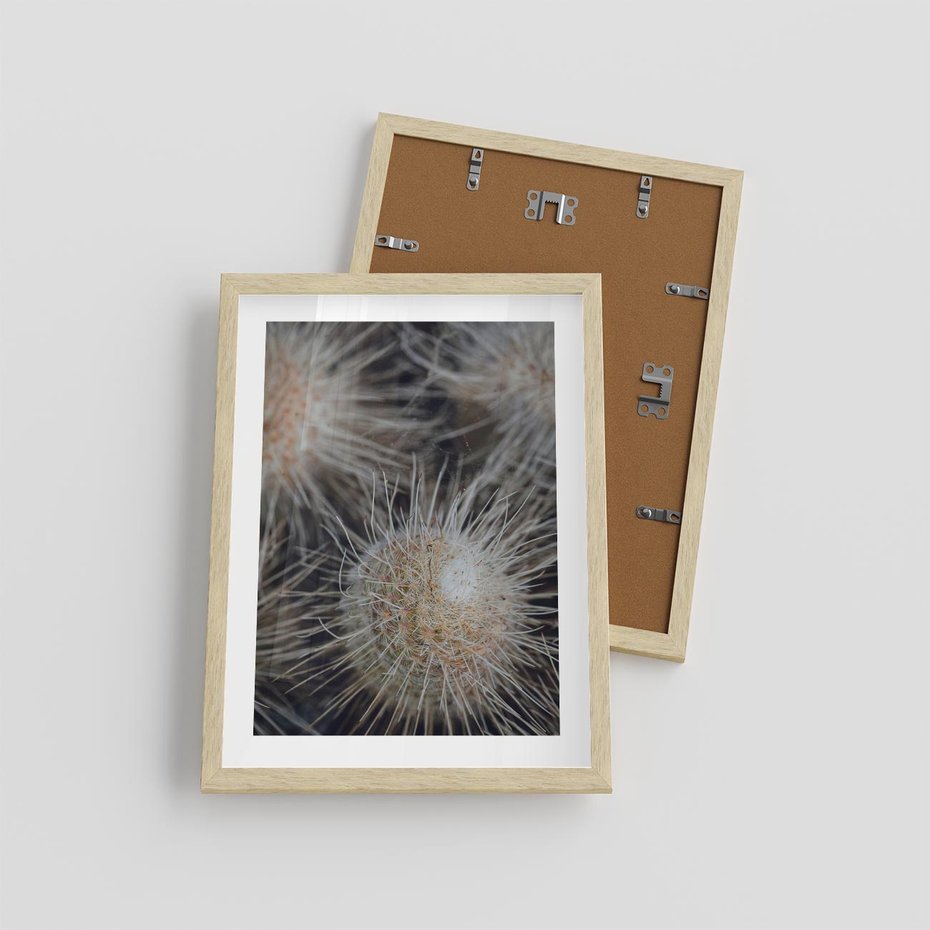 Plakat w ramie 30x40 - Ulotna Piękność Natury - makro, dmuchawce - rama drewno