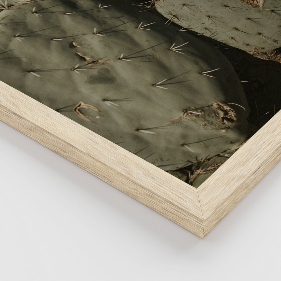 Zestaw obrazy w ramie 30x40 galeria - Kaktusy, sukulenty, opuncja, boho - rama drewno