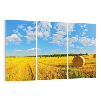 Obraz na płótnie 120x80 - Urok rolnictwa: Trawa w pełnym rozkwicie - rolnictwo, trawa