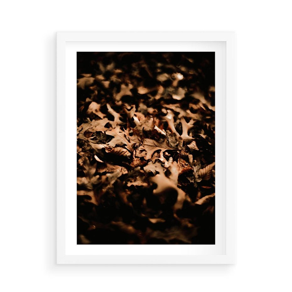 Plakat w ramie 50x70 - Jesienne Liście: Nostalgiczna Kolorystyka - suche liście, jesień - rama biała