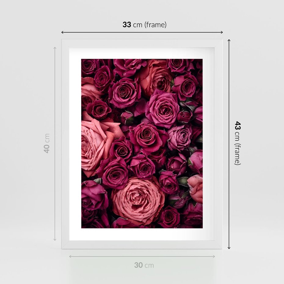 Plakat w ramie 30x40 - Róże - piękno kwiatów - róże, kwiaty - rama biała