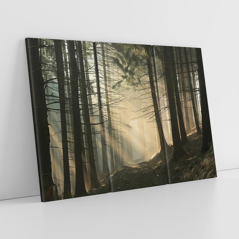 Obraz na płótnie 120x80 - Urok lasu: drzewa w pełnej okazałości - las, drzewa