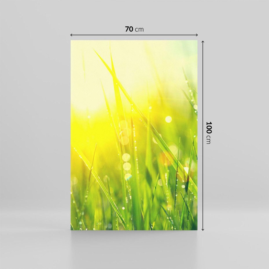 Obraz na płótnie 70x100 - Piękno Poranka - łąka, trawa