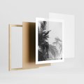 Plakat w ramie 40x50 - Palmy w Monochromii - palmy, tropikalne palmy - rama drewno