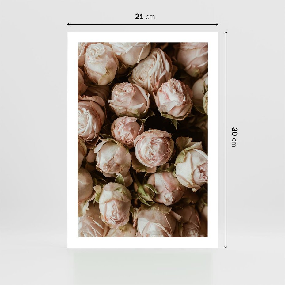 Plakat bez ramy 21x30 - Róże i Różowe Kwiaty w Kompozycji - róże, różowe kwiaty