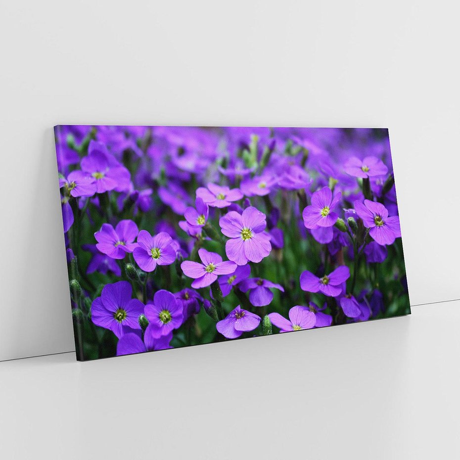 Obraz na płótnie 100x50 - Kwiatowe uniesienia magia natury - kwiat, kwiaty