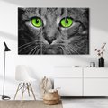 Obraz na płótnie 120x80 - Przestreń nautra doznania - kot, kotek