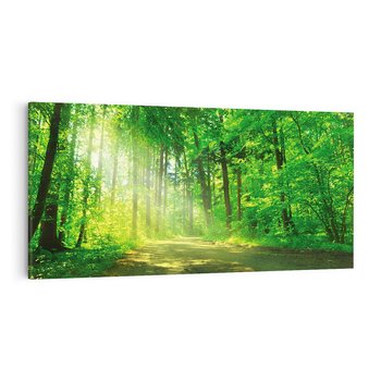 Obraz na płótnie 120x60 - Urok lasu na drodze - las, drzewa