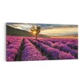 Obraz na płótnie 140x70 - Lawenda: Pachnący ogród natury - lawenda, kwiaty