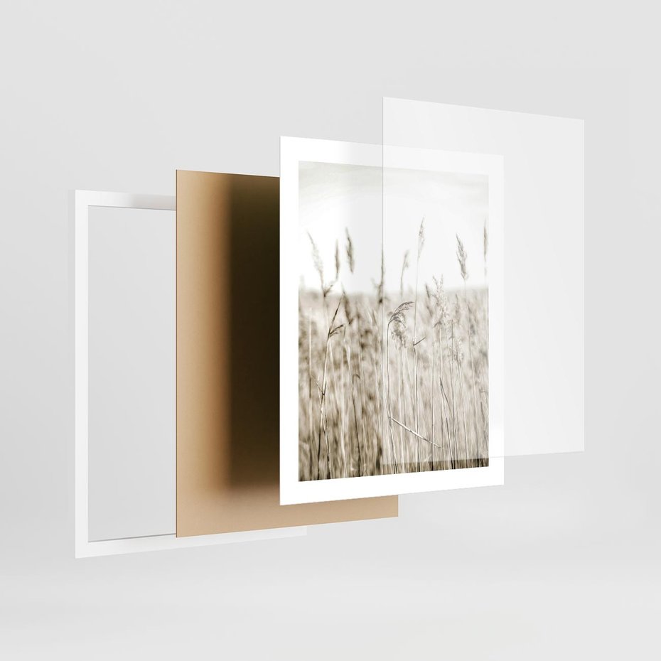 Plakat w ramie 40x50 - Nostalgiczny Pejzaż - suche trawy, pole - rama biała