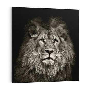 Obraz na płótnie 40x40 - Moc lewego spojrzenia - lew, czarno