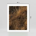 Plakat bez ramy 40x50 - Szlachetna Suchość Traw - trawy, suche trawy