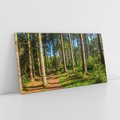 Obraz na płótnie 120x60 - Mistyfikacje lasu - las, drzewa