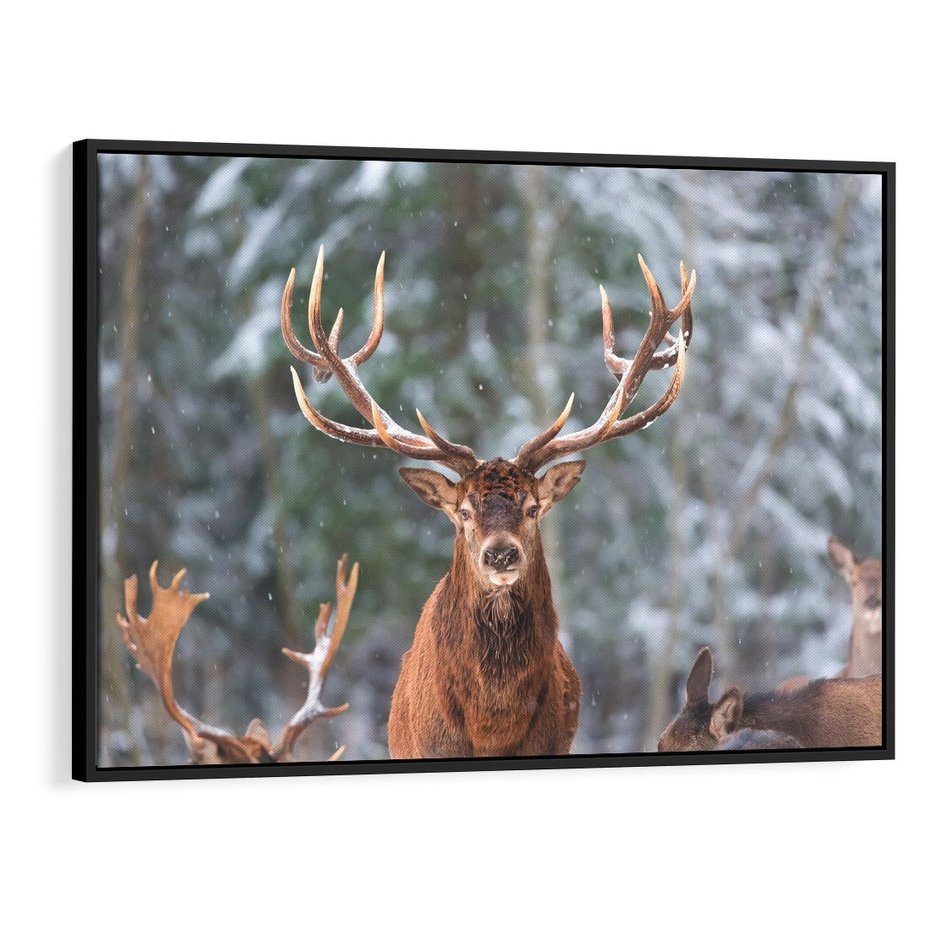 Obraz w ramie 100x70 - Monarcha Zimowej Dziczy - jeleń, zima - rama czarna
