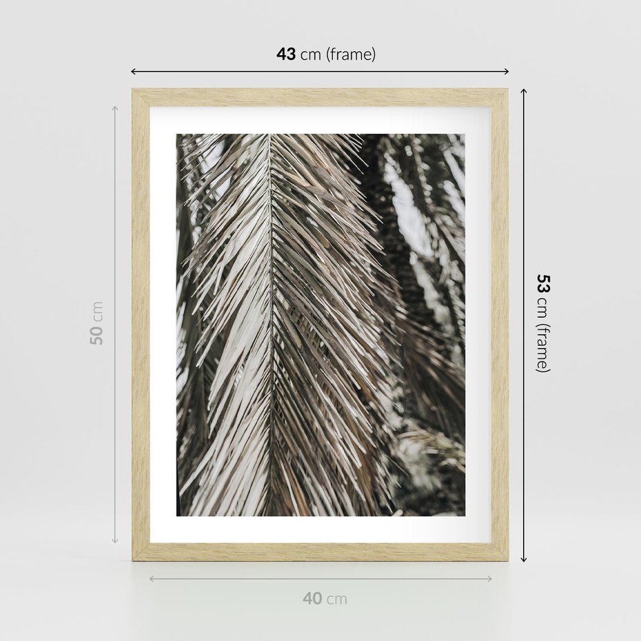 Plakat w ramie 40x50 - Egzotyczne Gałęzie - suche gałęzie, liście palmy - rama drewno