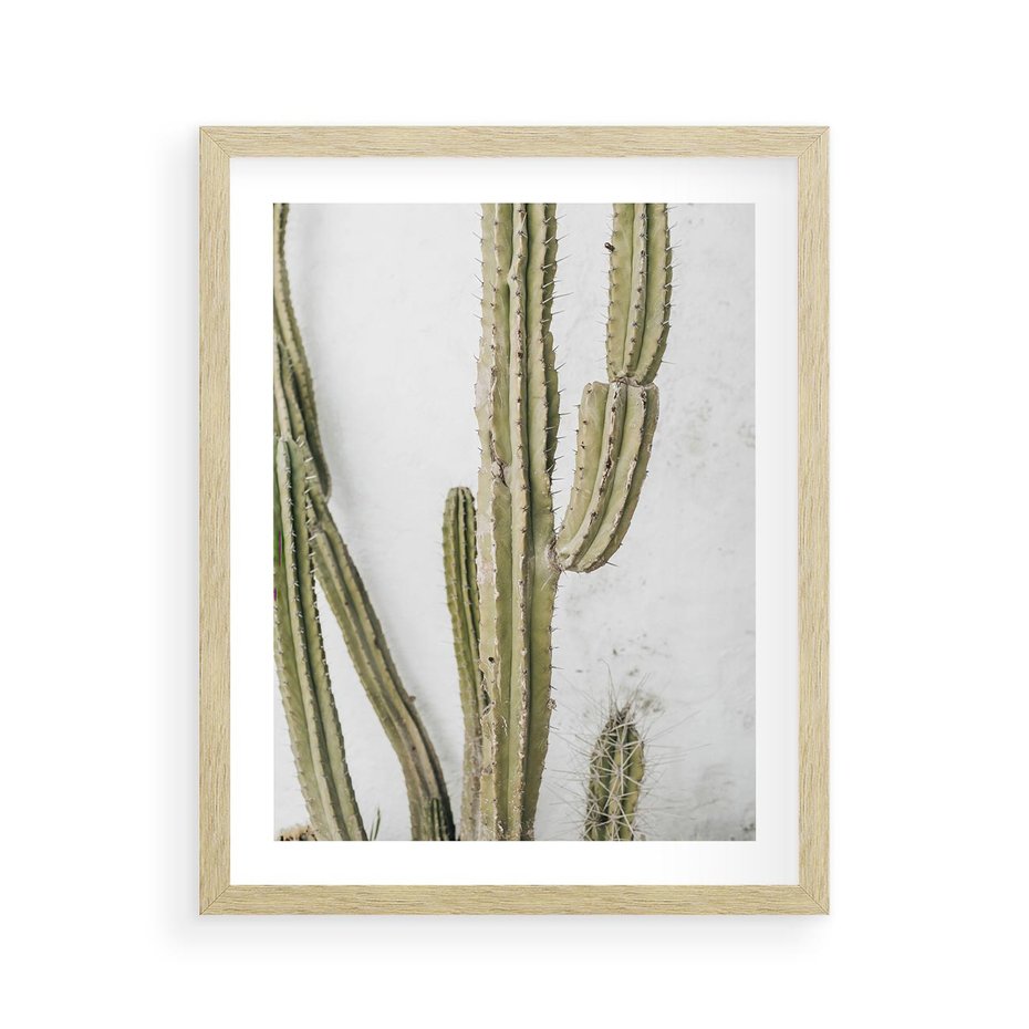Plakat w ramie 40x50 - Kaktus w Stylu Boho - kaktus, roślina tropikalna - rama drewno