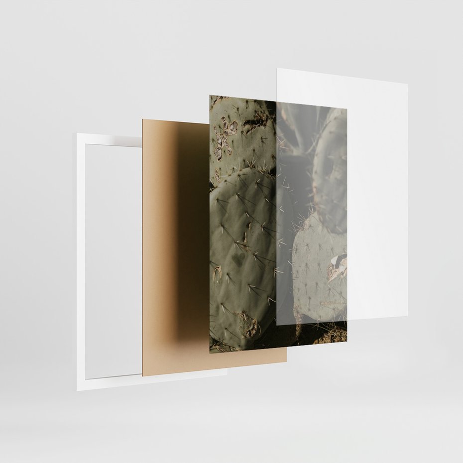 Zestaw obrazy w ramie 30x40 galeria - Kaktusy, sukulenty, opuncja, boho - rama biała