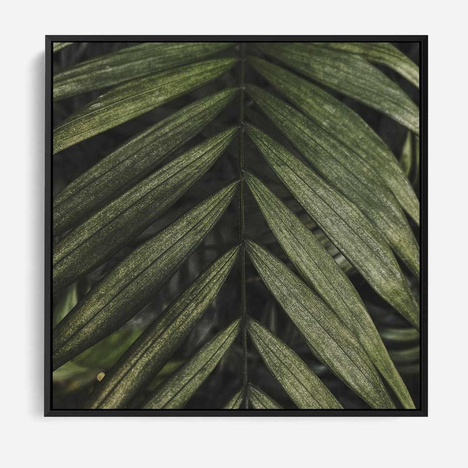 Obraz w ramie 50x50 - W Liściach Ukryte - zdjęcie, fotografia - rama czarna
