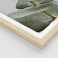 Plakat w ramie 30x40 - Eukaliptusowa zieleń - eukaliptus, zielone - rama drewno