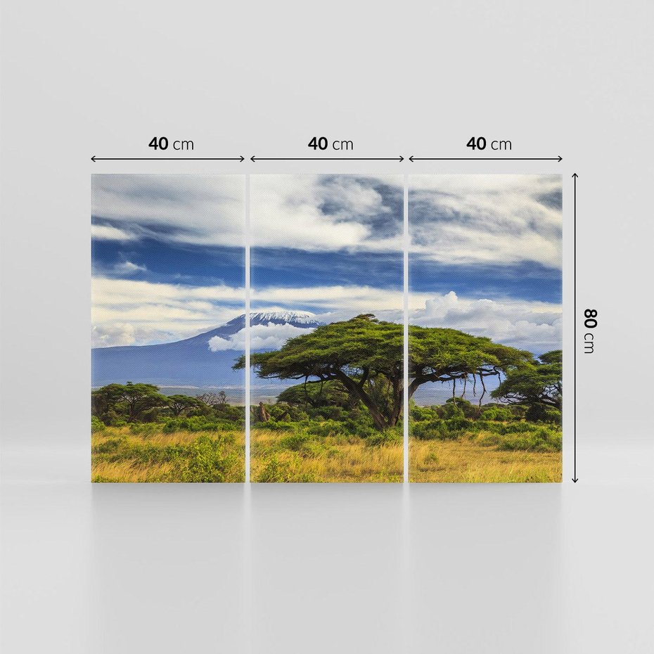 Obraz na płótnie 120x80 - Afrykańska magia - Afryka, Kenia