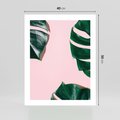 Plakat bez ramy 40x50 - Minimalizm Natury - minimalizm, liście monstery