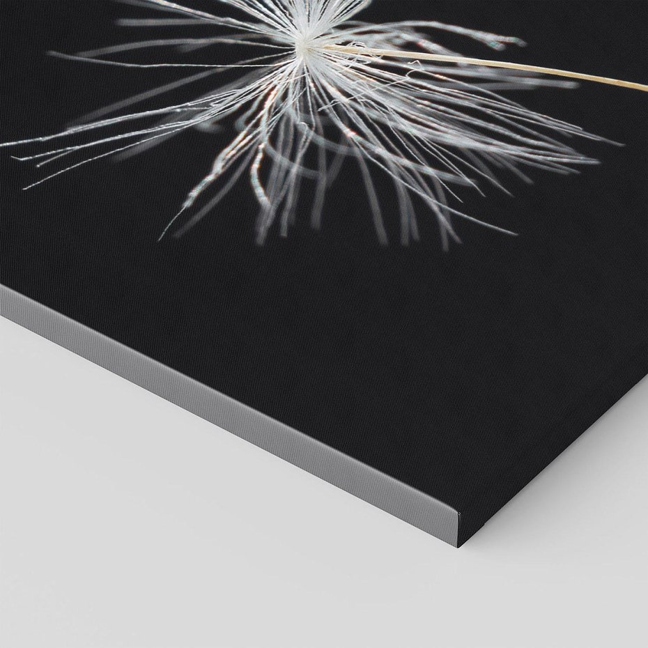 Obraz na płótnie 100x70 - Delikatność Wiatru - dmuchawce, makro