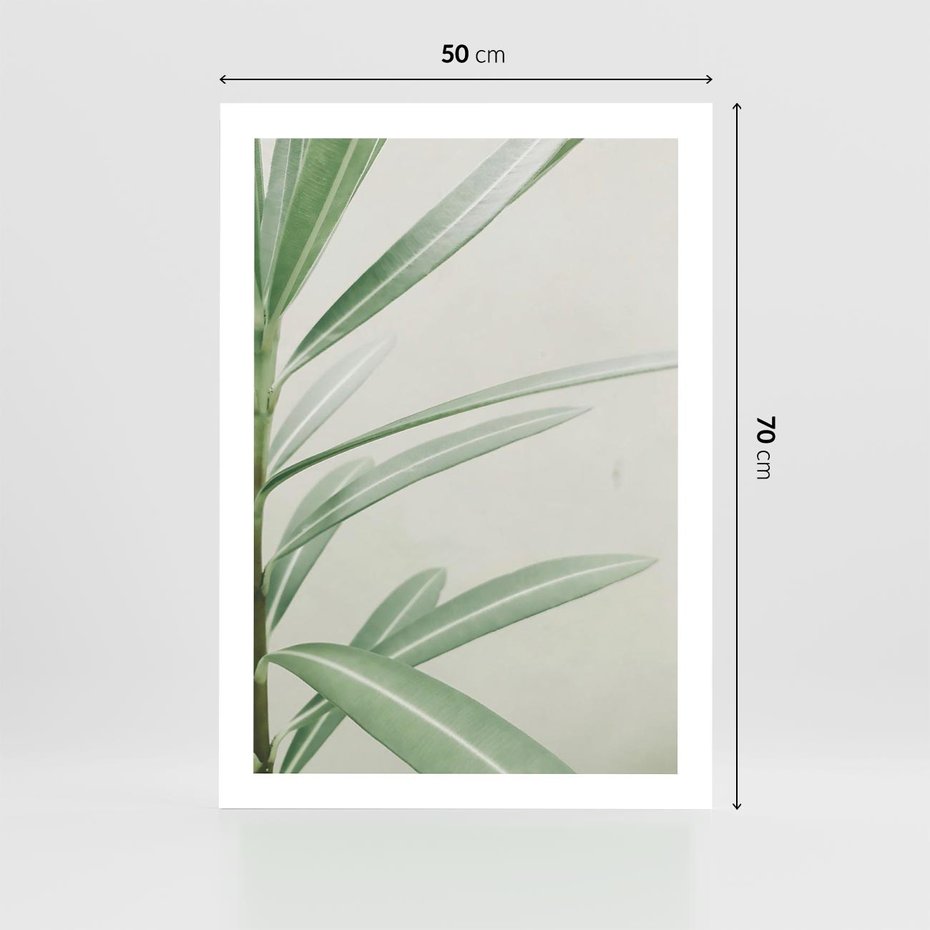 Plakat bez ramy 50x70 - Minimalistyczna Tropikalna Harmonia - tropikalna roślina, zielone liście