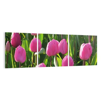 Obraz na płótnie 150x50 - Tulipanowa harmonia - tulipany, kwiaty
