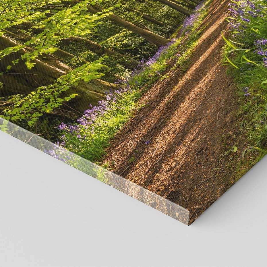 Obraz na płótnie 80x80 - Magia lasu: Drzewa w tajemniczej otoczce - las, drzewa