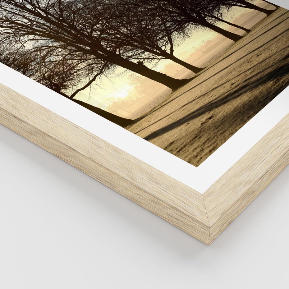 Plakat w ramie 40x50 - Siła natury - drzewa, pole - rama drewno