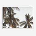 Obraz w ramie 120x80 - Palmy - tęsknota za Hawajami - palmy, Hawaje - rama biała