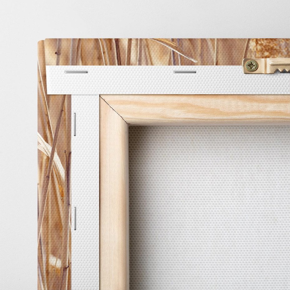 Obraz na płótnie 70x100 - Mistrzowskie suche trawy - suche, trawy