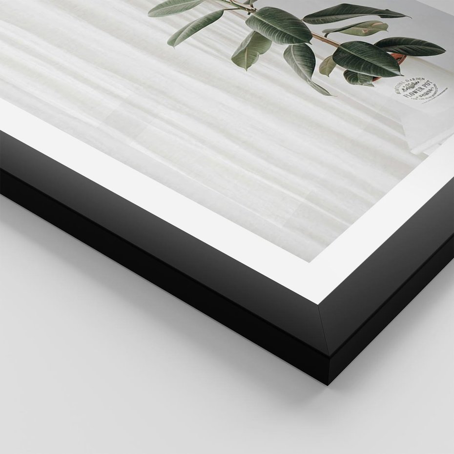 Plakat w ramie 50x70 - Kwiat w Bieli - kwiat w doniczce, białe wnętrze - rama czarna