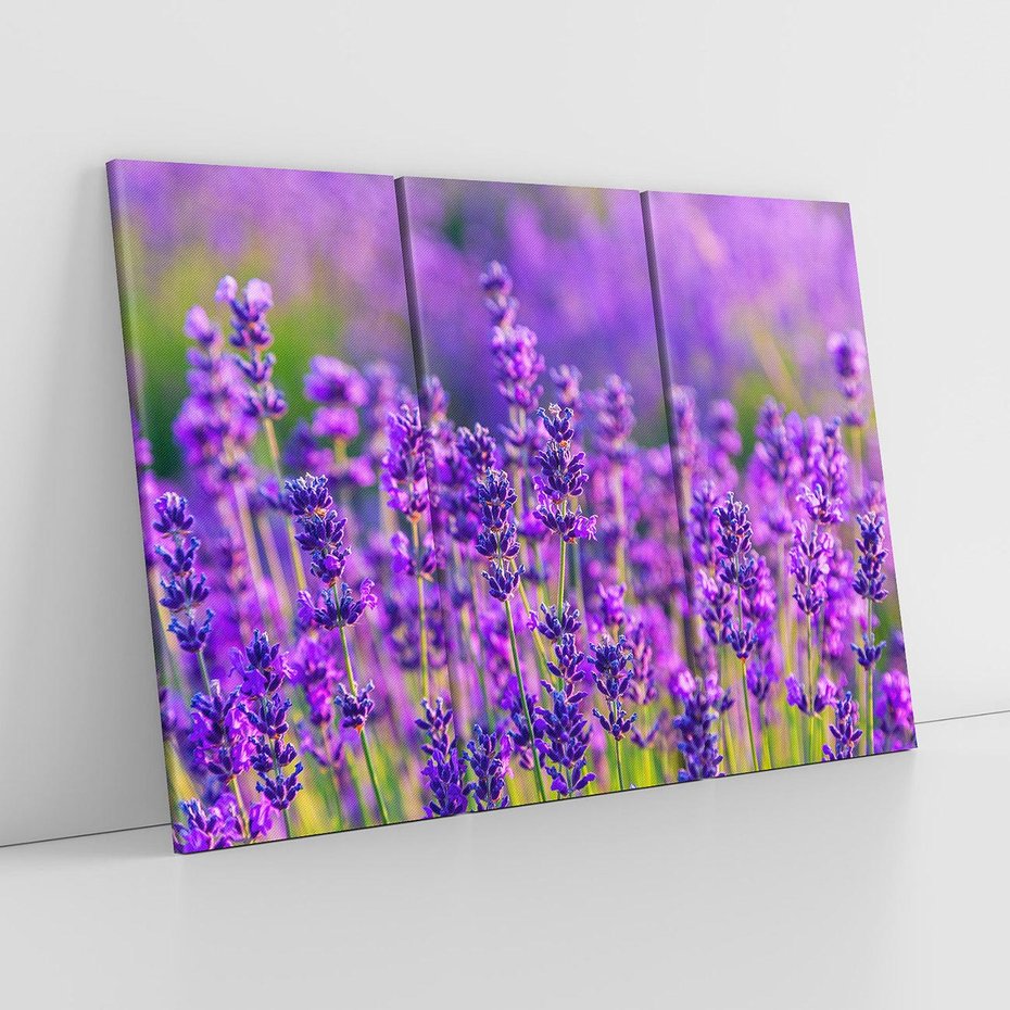 Obraz na płótnie 120x80 - Zaklęta lawenda - lawenda, kwiaty