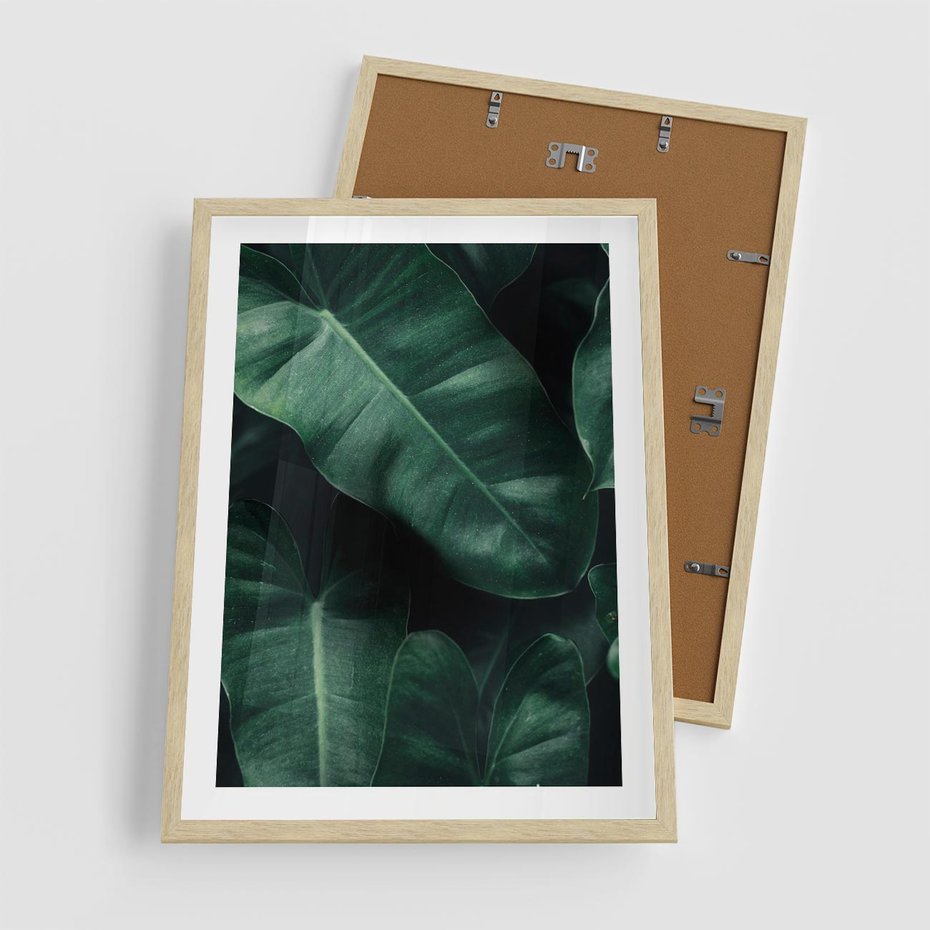 Plakat w ramie 50x70 - Liście Bananowca - minimalizm, zielone liście bananowca - rama drewno