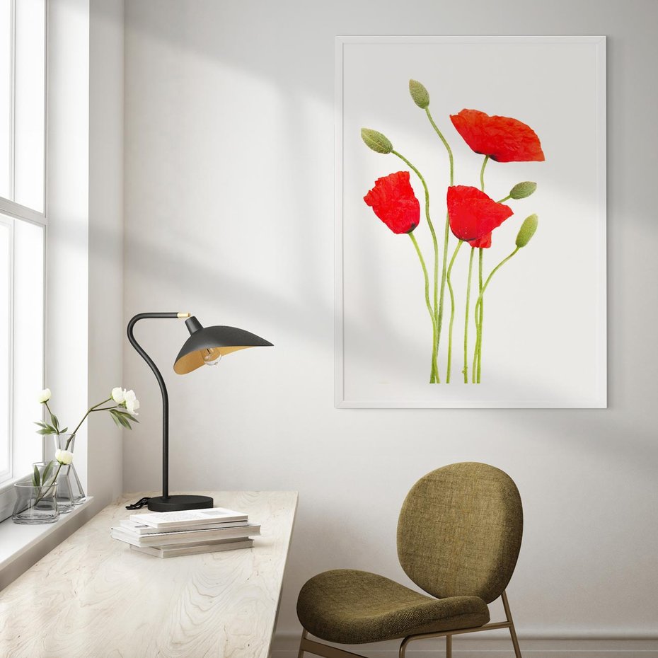 Plakat bez ramy 40x50 - Pola maków w pełnym kolorze - maki, kwiaty