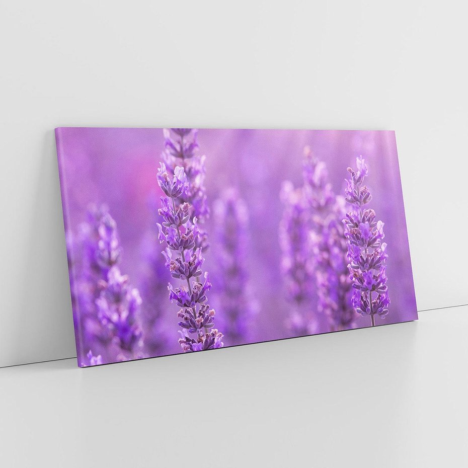 Obraz na płótnie 120x60 - Fioletowa harmonia lawendy - lawenda, fiolet