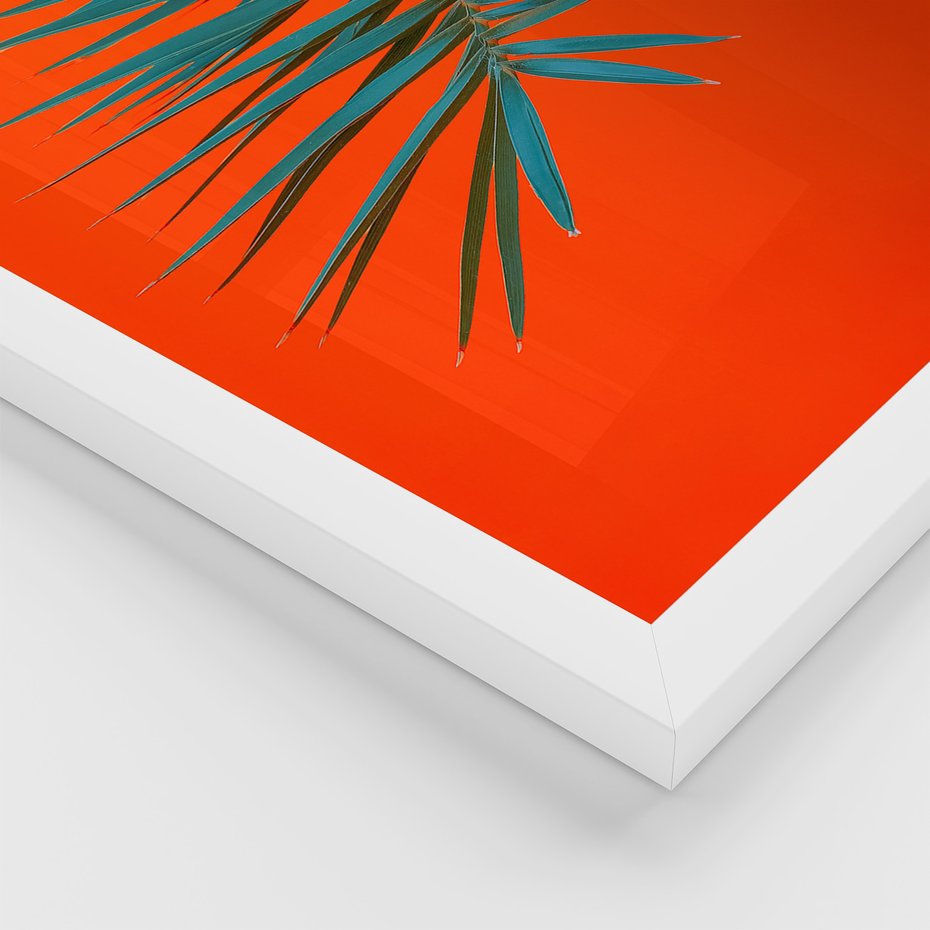 Zestaw obrazy w ramie 50x70 galeria - Liście, rośliny, aloes, neonowe - rama biała