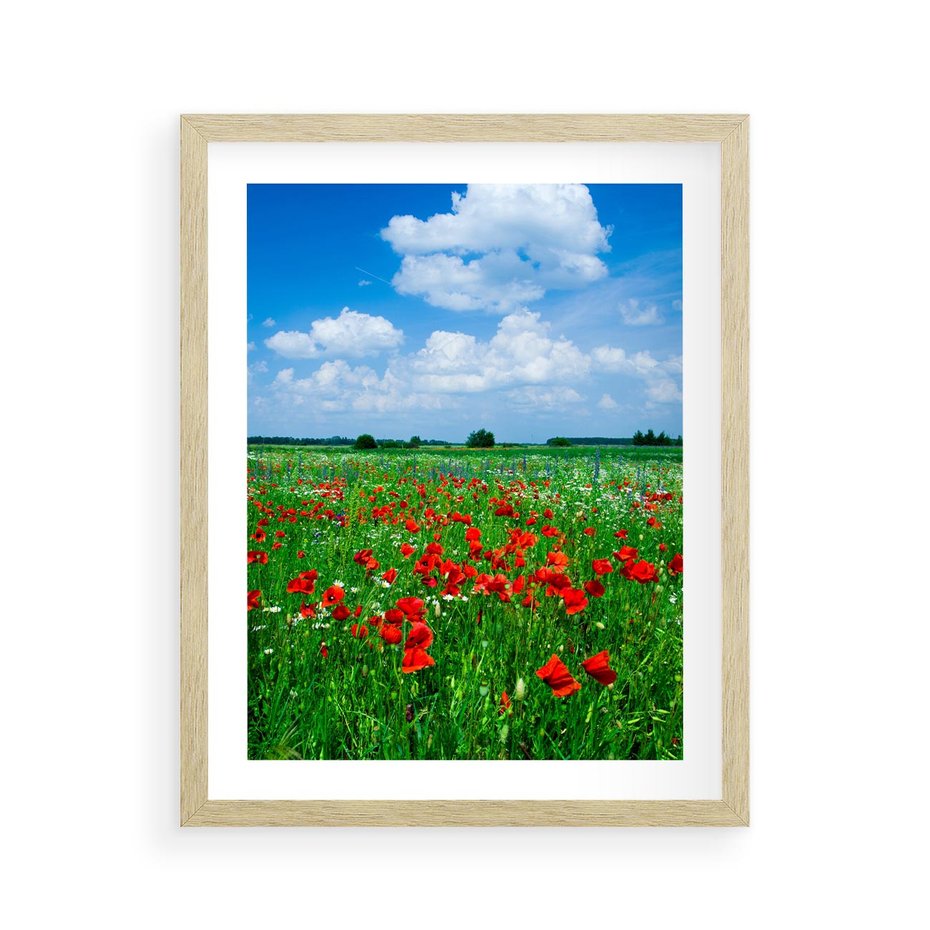 Plakat w ramie 40x50 - Kolorowa łąka pełna maku - łąka, maki - rama drewno