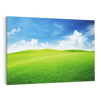 Obraz na płótnie 100x70 - Łąka pod Niebem - łąka, niebo