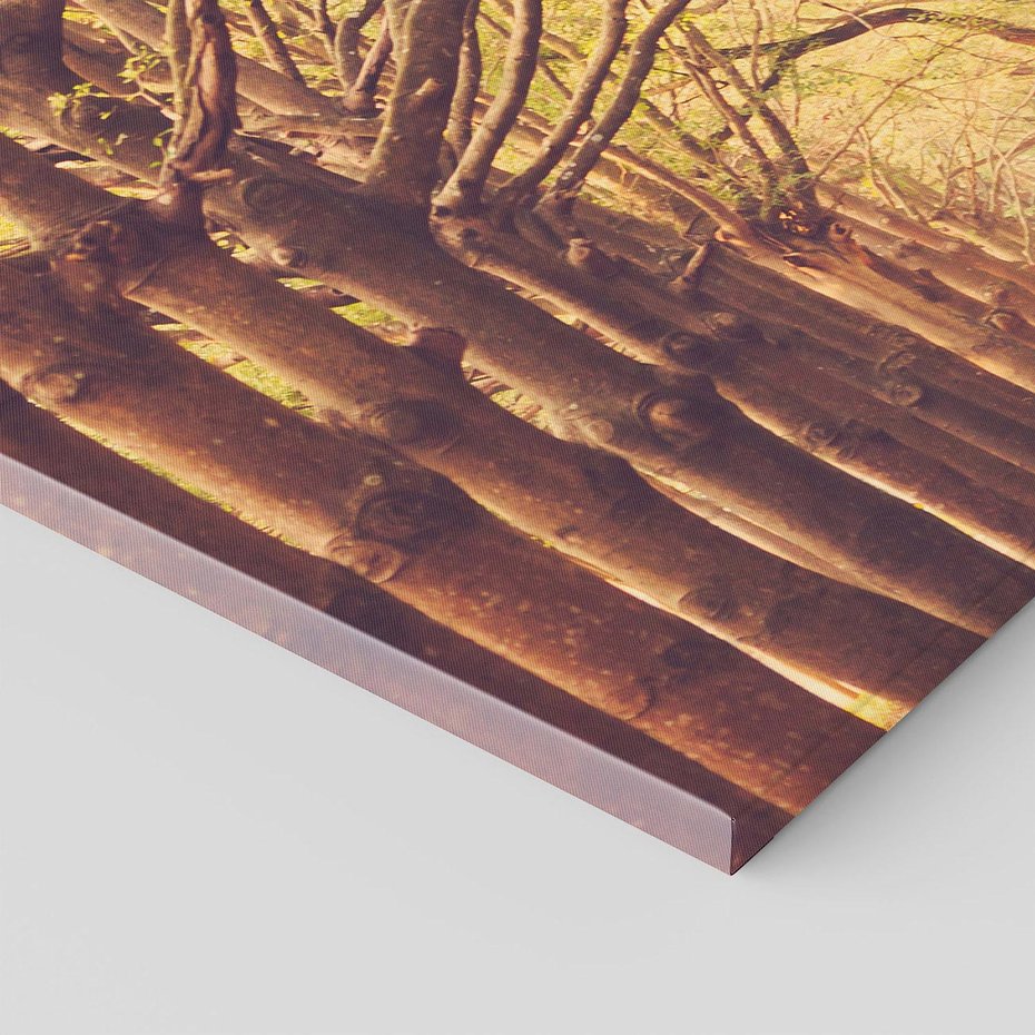 Obraz na płótnie 120x80 - Wędrówka między drzewami - droga, drzewa